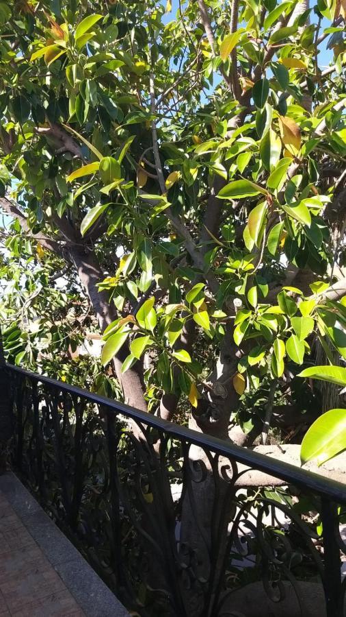 Appartamento La Palma Posada Kültér fotó