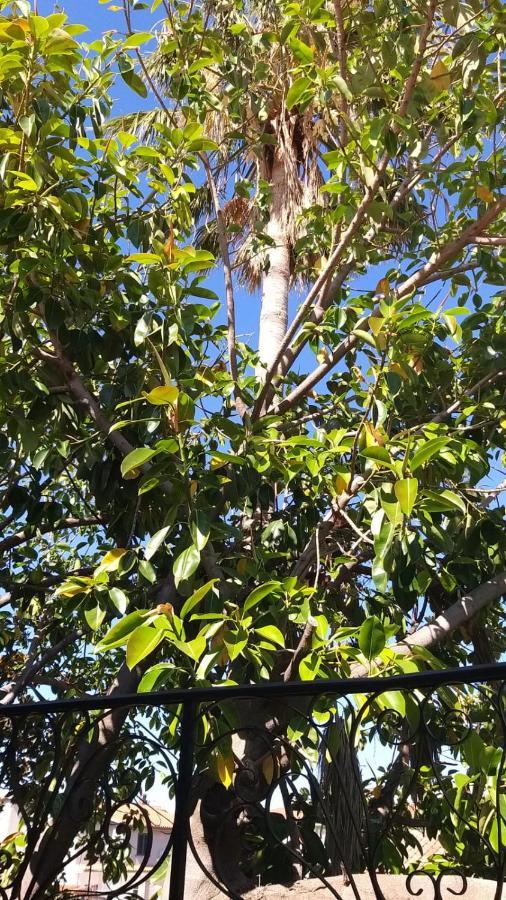 Appartamento La Palma Posada Kültér fotó